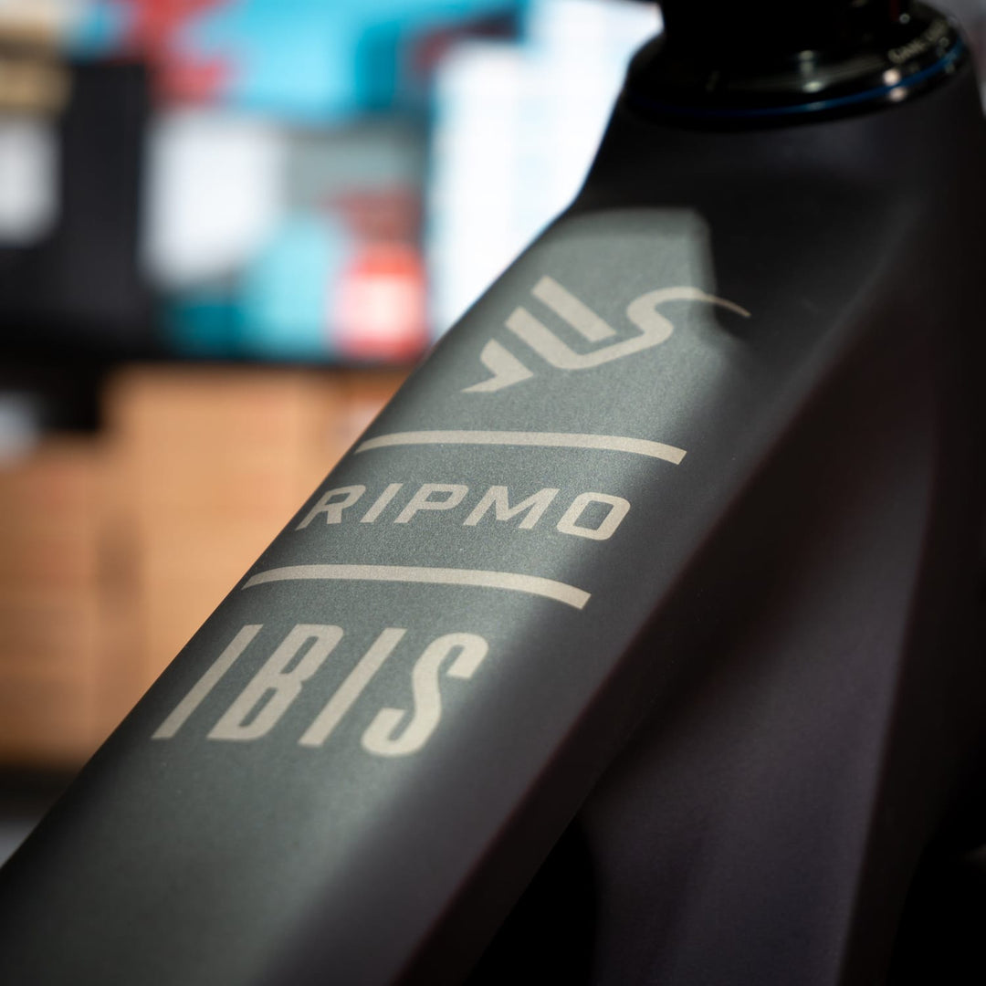 Bike IBIS RIPMO V3 | SRAM GX-T | XM | PURPLE '25