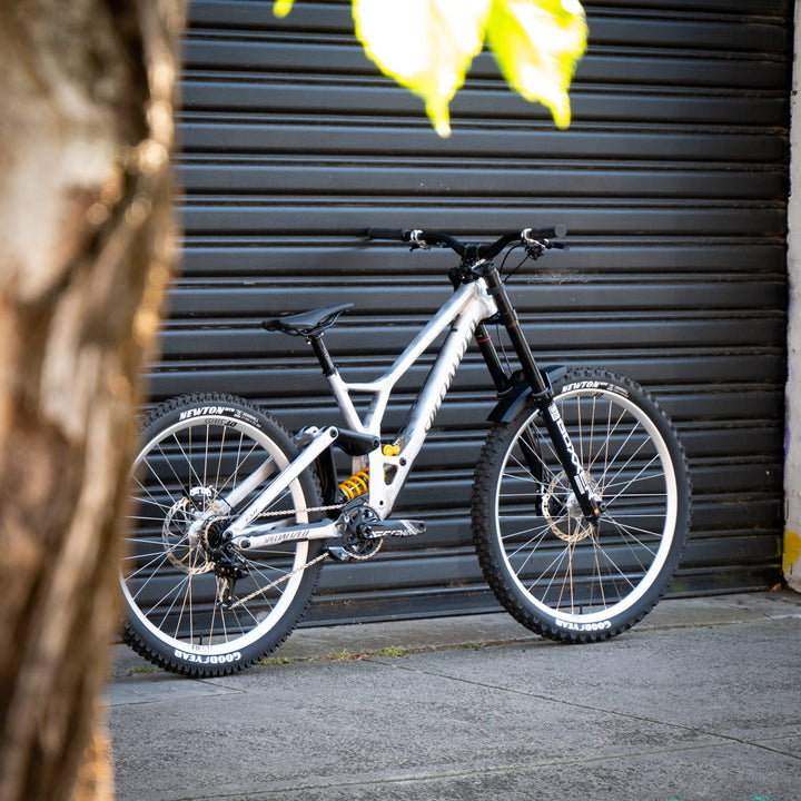 Bike Specialized Demo Race | Boxxer Ult. | X01DH | FR541 Vault Silver | Maven | S3/LGE Brushed Silver 2025 | CUSTOM BUILD