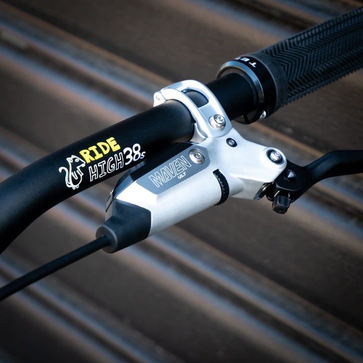 Bike Specialized Demo Race | Boxxer Ult. | X01DH | FR541 Vault Silver | Maven | S3/LGE Brushed Silver 2025 | CUSTOM BUILD