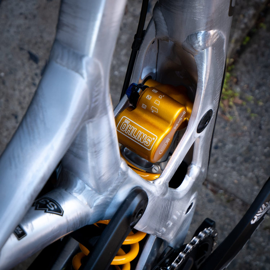 Bike Specialized Demo Race | Boxxer Ult. | X01DH | FR541 Vault Silver | Maven | S3/LGE Brushed Silver 2025 | CUSTOM BUILD