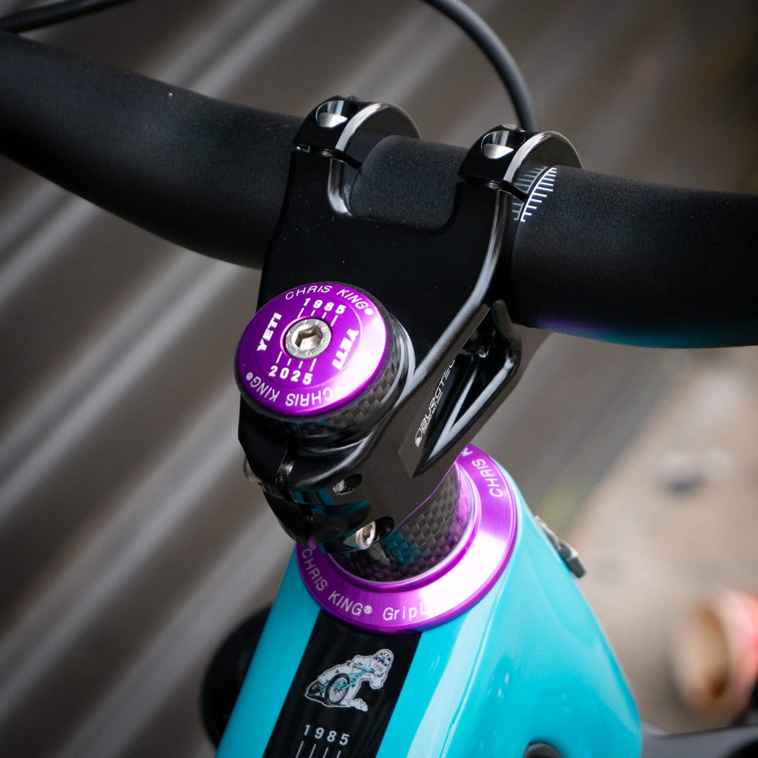 Bike Yeti SB160 Team Issue | X0 T-Type | LGE