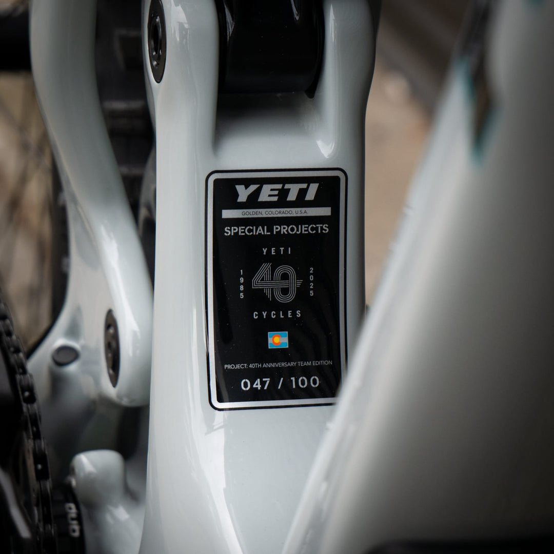 Bike Yeti SB160 Team Issue | X0 T-Type | LGE