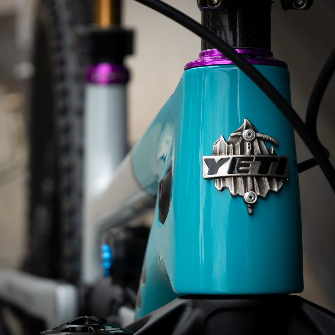 Bike Yeti SB160 Team Issue | X0 T-Type | LGE
