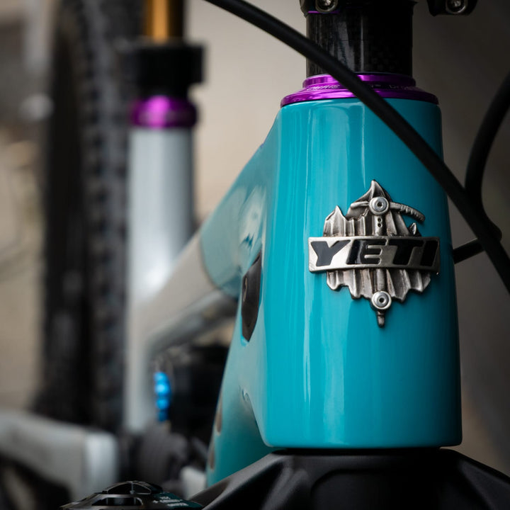 Bike Yeti SB160 Team Issue | X0 T-Type | LGE