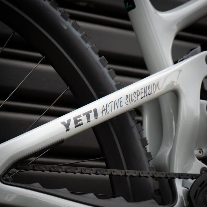 Bike Yeti SB160 Team Issue | X0 T-Type | LGE