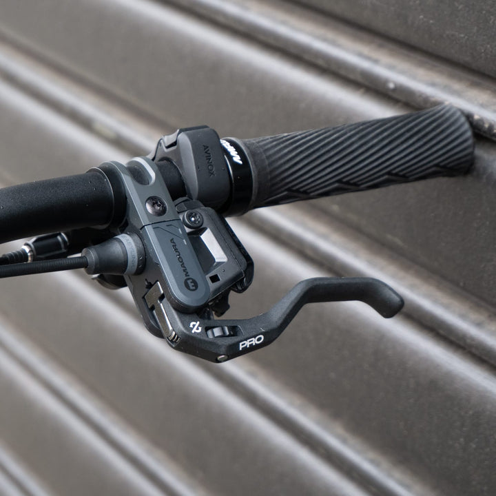 AMFLOW PX CARBON