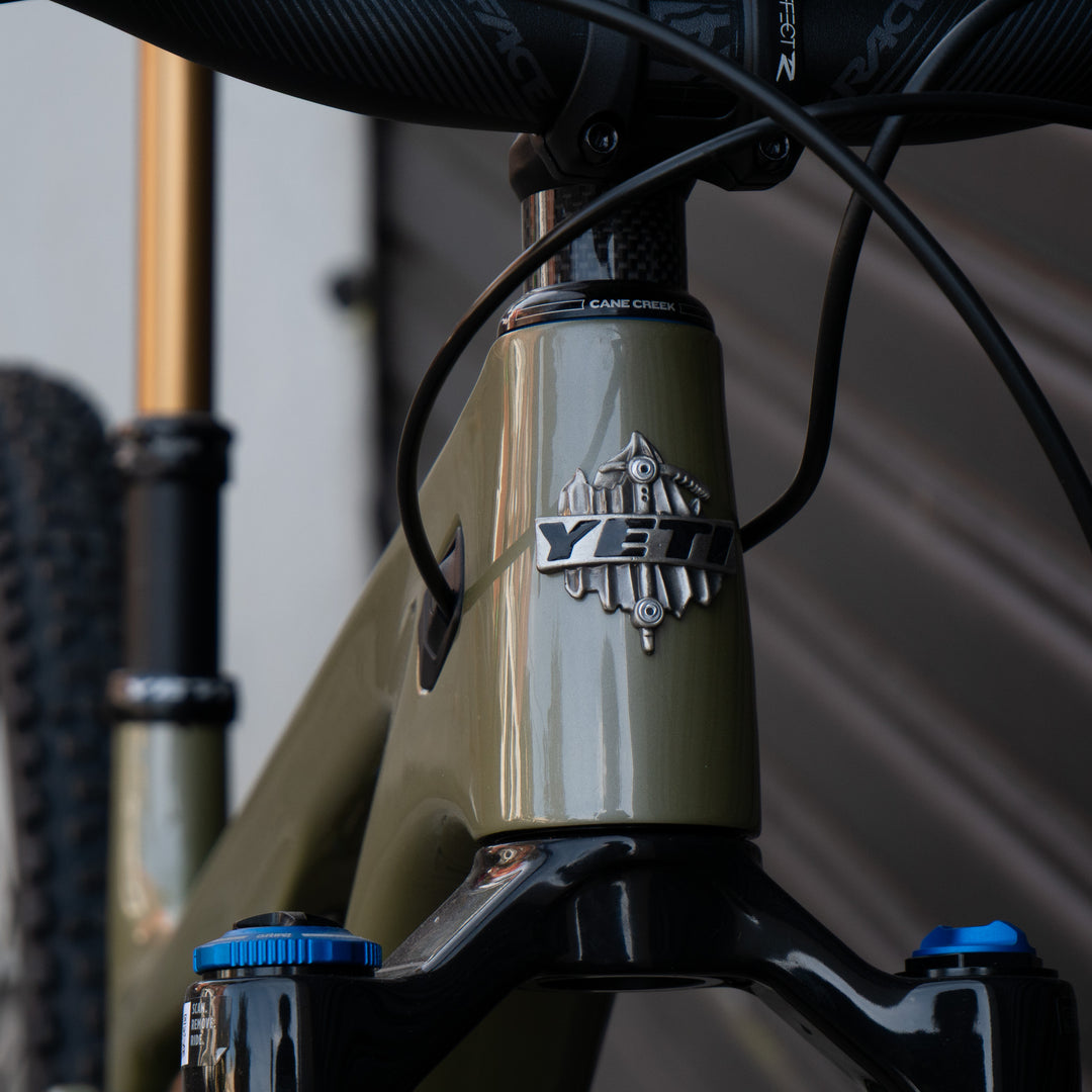 Bike Yeti SB120 29" T-Series | SRAM GX AXS T-TYPE | MED | LICHEN | '25