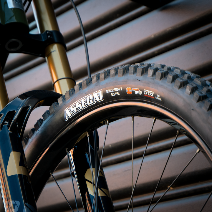 Bike Santa Cruz V10 CC | X0 | MED | KELP GREEN CUSTOM