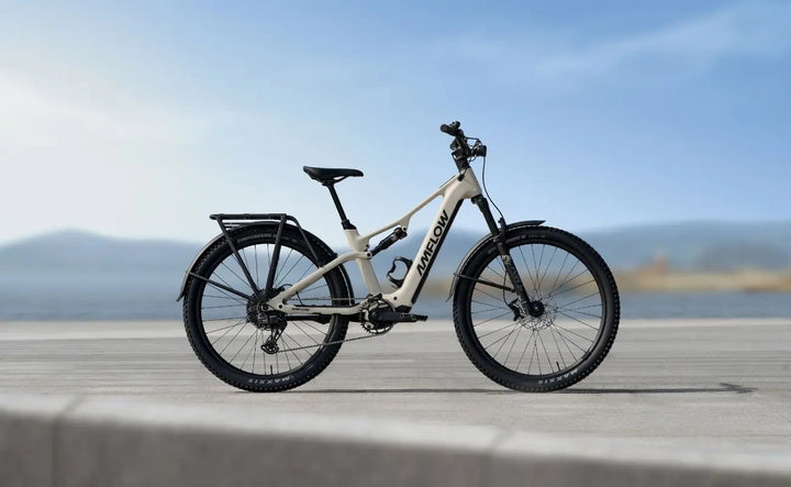 Bike AMFLOW | TL CARBON | L-XL