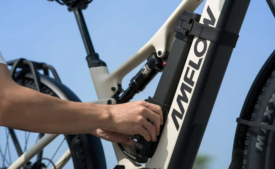 Bike AMFLOW | TL CARBON | L-XL