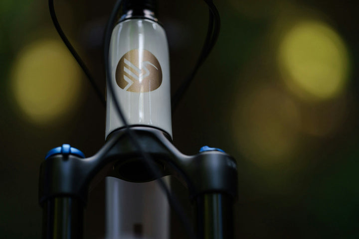 BIKE IBIS EXIE VT NGX