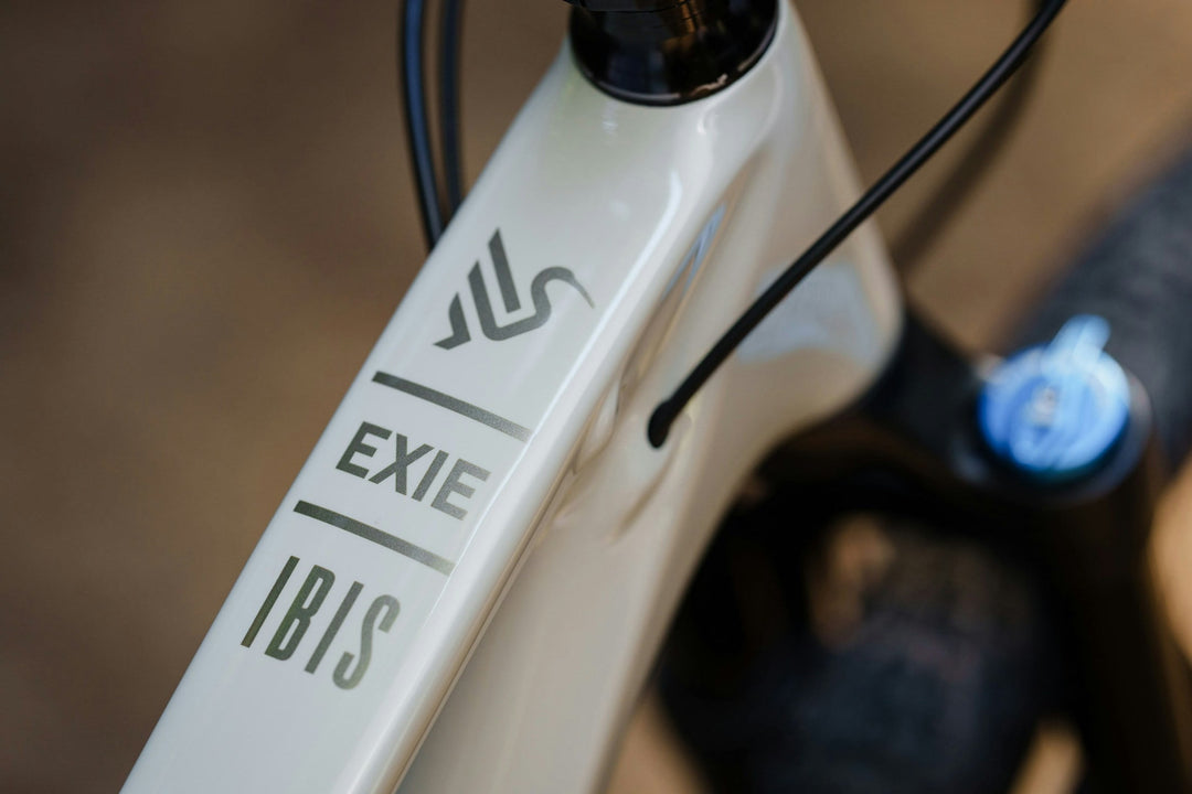 BIKE IBIS EXIE VT NGX