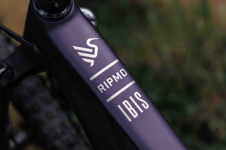 Bike IBIS RIPMO V3 | SRAM GX-T | XM | PURPLE '25