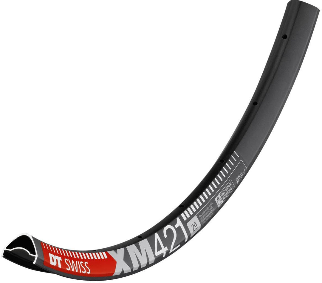 Rim DT Swiss XM421 29 32H (25 wide)