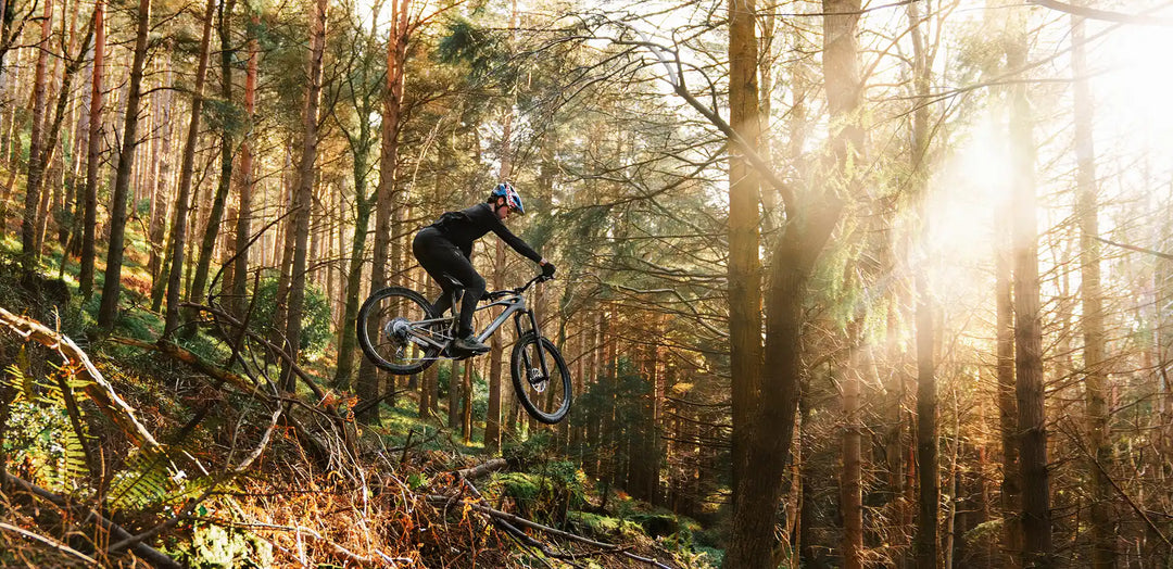 MONDRAKER ZENDIT
