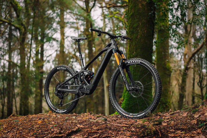 MONDRAKER ZENDIT