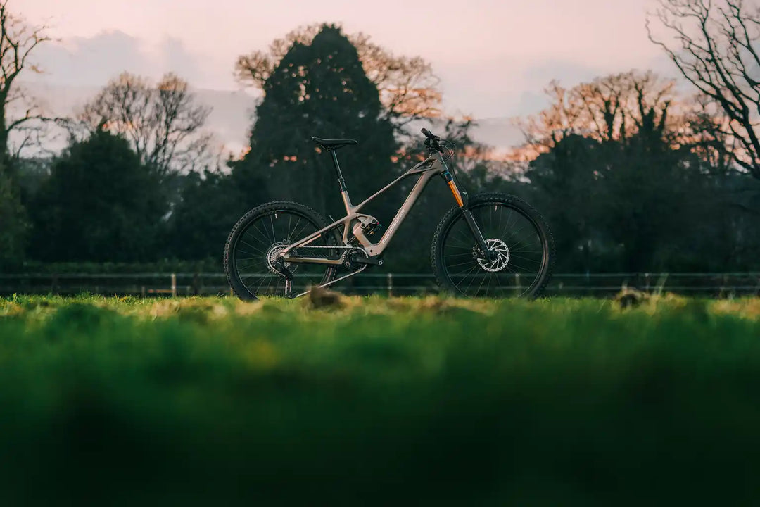 MONDRAKER ZENDIT