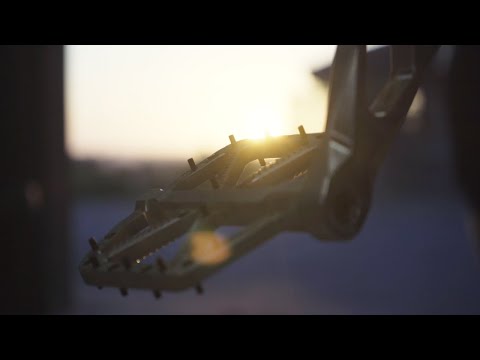 5DEV eCranks - ISIS Specialized/Bosch